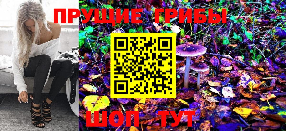 Галлюциногенные грибы Cubensis Боровичи