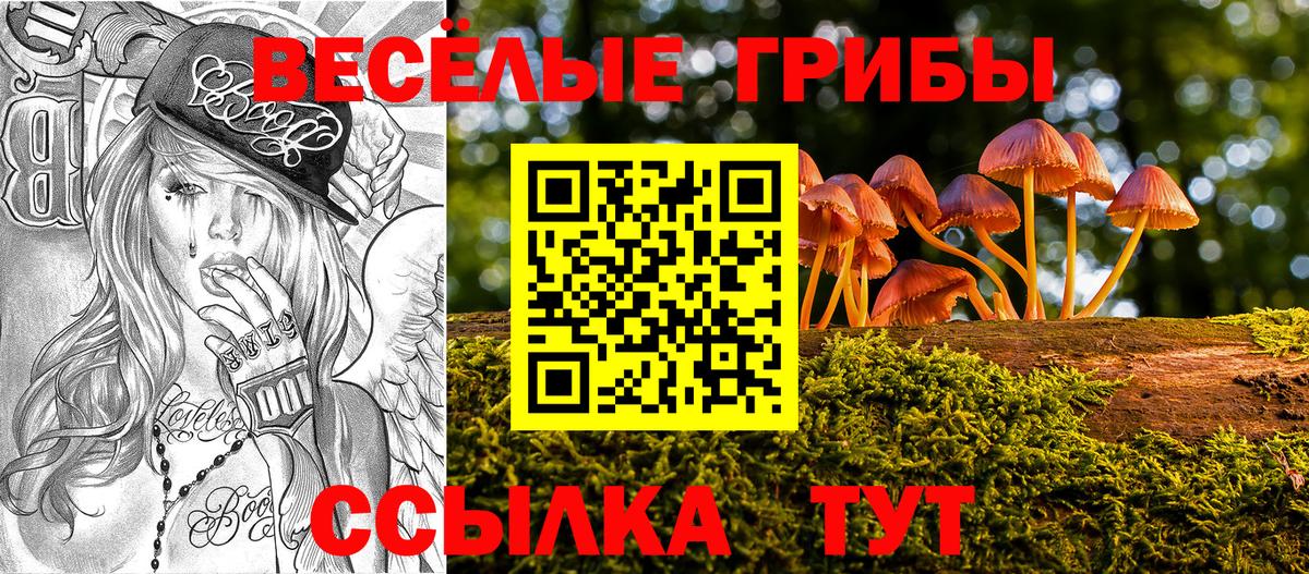 Боровичи  хочу наркоту  Вход с VPN  Галлюциногенные грибы MAGIC MUSHROOMS 
