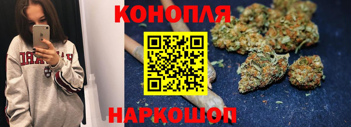 Боровичи  Канабис план  Вход с VPN  Бошки марихуана конопля 